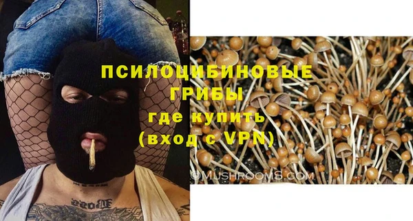 стаф Медвежьегорск