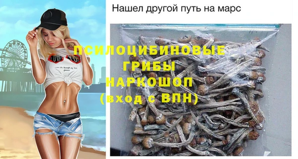 спайс Апатиты