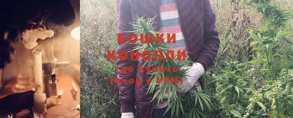 стаф Медвежьегорск