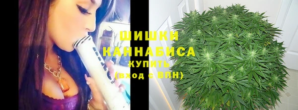 PSILOCYBIN Магадан