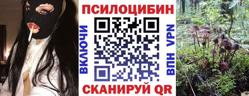 цены наркотик  Харабали  Псилоцибиновые грибы Psilocybe 